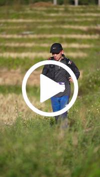 BIB:  <button type="button" onclick="openModal(26786660)" class="btn btn-primary btn-sm float-right" data-toggle="modal" data-target=".modal-high-quality">
                <i class="fa fa-download"></i> Download
                </button>